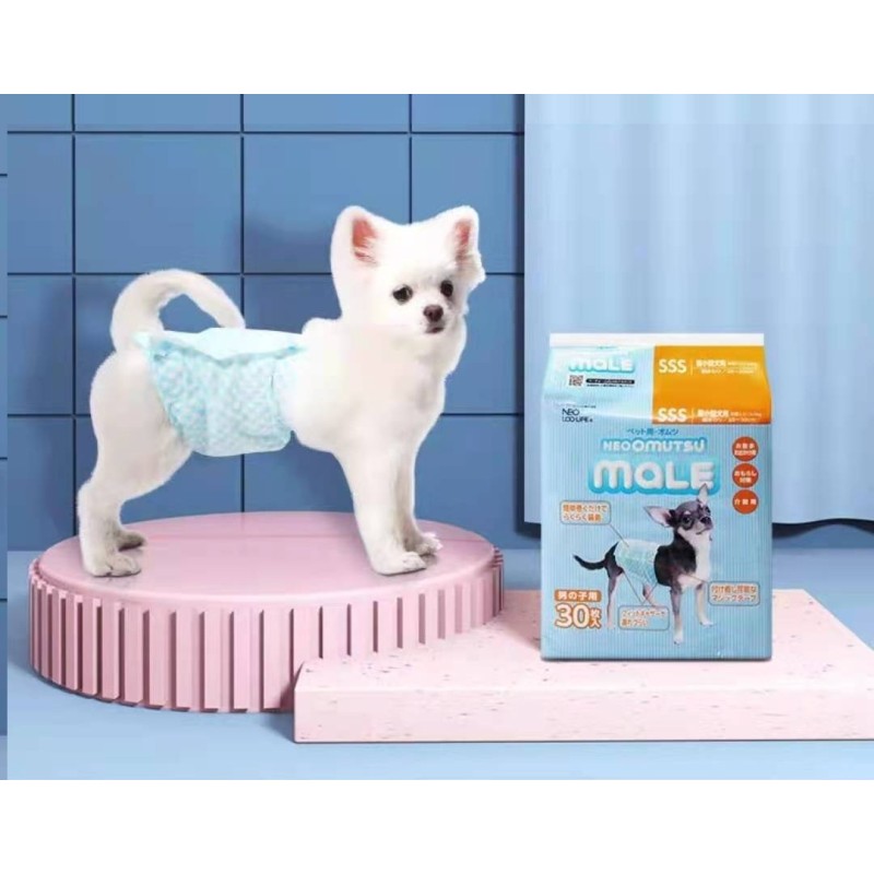 Dog Diaper Manufacturer - Factory Make New Style Absorbent Soft Disposable Dog Period Diaper
