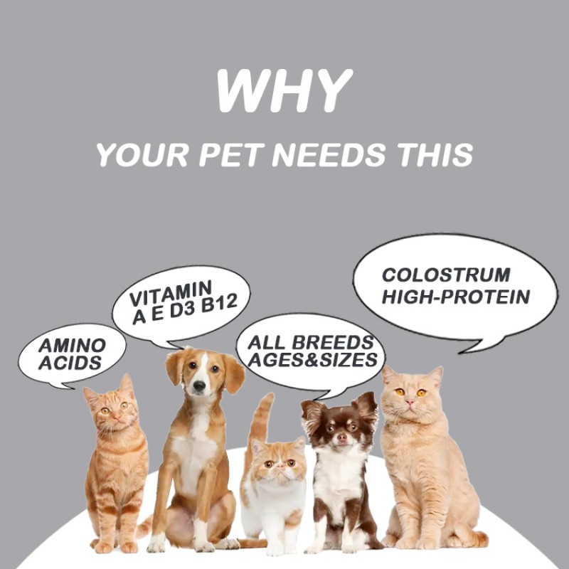 Pet Supplement Powder Manufacturer - OEM Turkey Tuna Chicken Muscle Gain