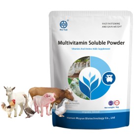 Vitamin Chick Feed Factory - OEM Broiler Premix Nutrition Growth