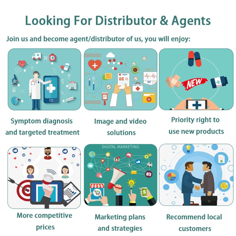 Swine Feed Additive Manufacturer - OEM Intestinal Stomach Modifier Growth