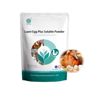 Layer Feed Additive Manufacturer - OEM Egg Production Fertilization Rate