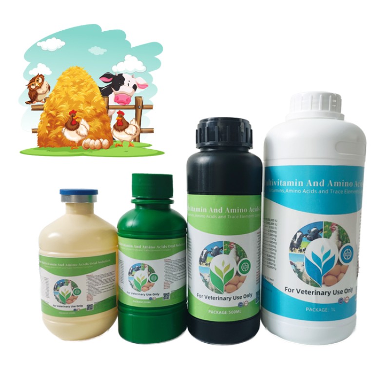 Poultry Amino Acid Liquid Manufacturer - OEM Egg Laying Booster Vitamins