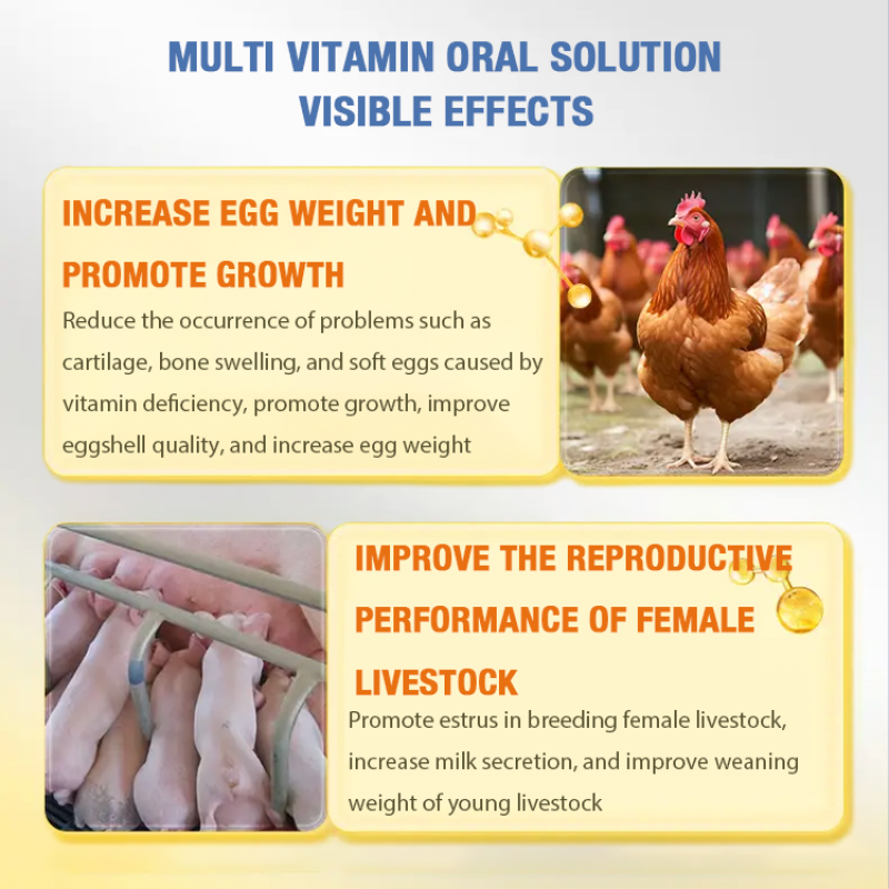 Chicken Vitamin Liquid Supplier - OEM AD3E Poultry Bagged Supplement