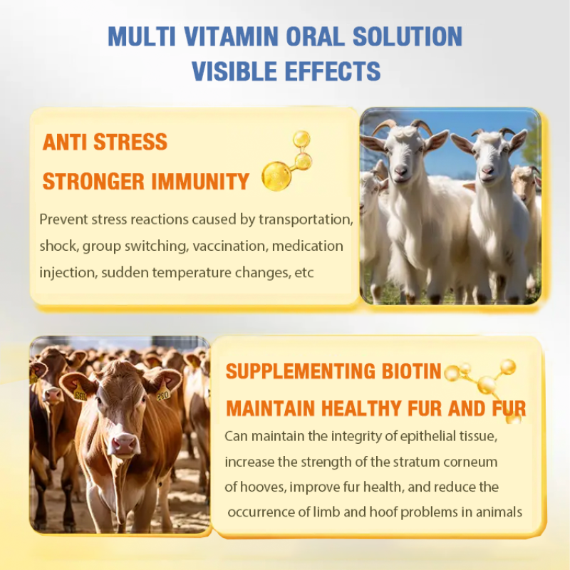Animal Vitamins Liquid Factory - OEM Fast Growth Weight Gain Booster