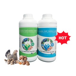 Chicken Vitamins Liquid Supplier - OEM Multivitamin Oral Solution Layer