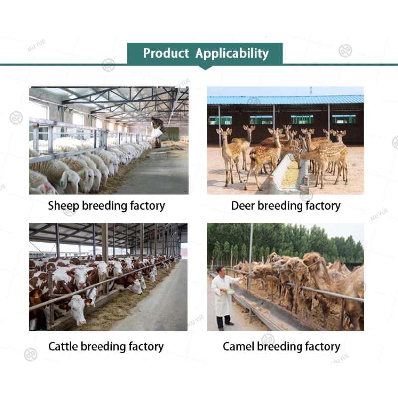 Beef Cattle Premix Manufacturer - OEM 5% Compound Feed Supplement Powder