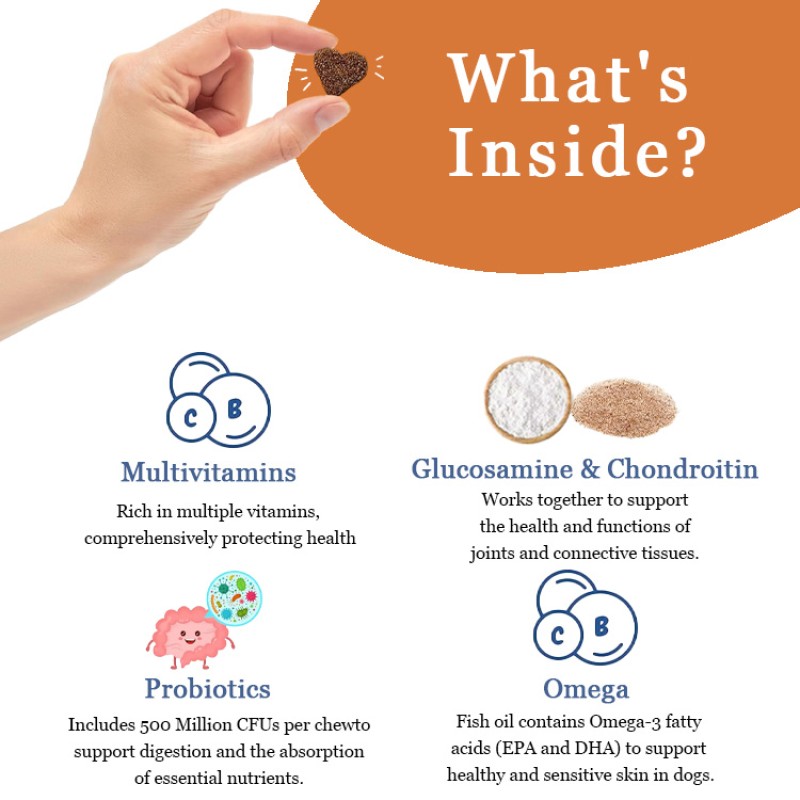 Dog Nutritional Supplement Manufacturer - OEM Soft Vitamin Organic Supplements