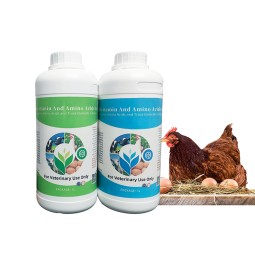 Animal Vitamins Liquid Factory - OEM Fast Growth Weight Gain Booster