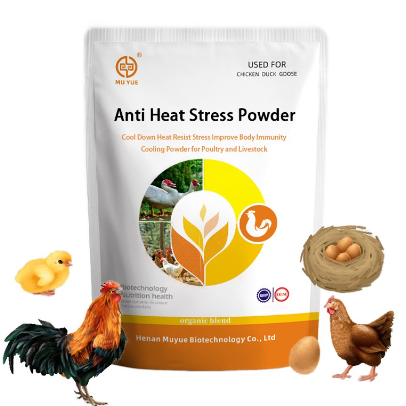 Anti Hot Weather Powder Manufacturer - OEM Poultry Livestock Cooling