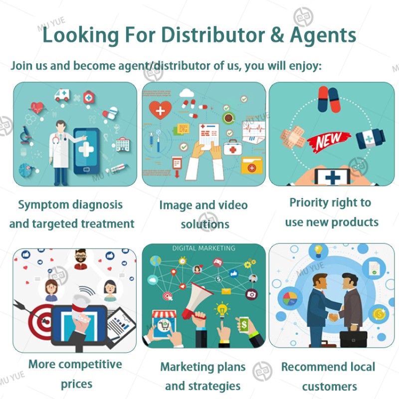 Anti Hot Weather Powder Manufacturer - OEM Poultry Livestock Cooling