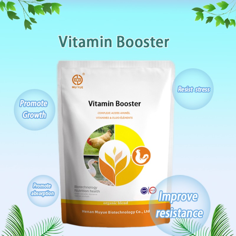 Animal Multivitamin Powder Supplier - OEM Broiler Chicken Weight Gain