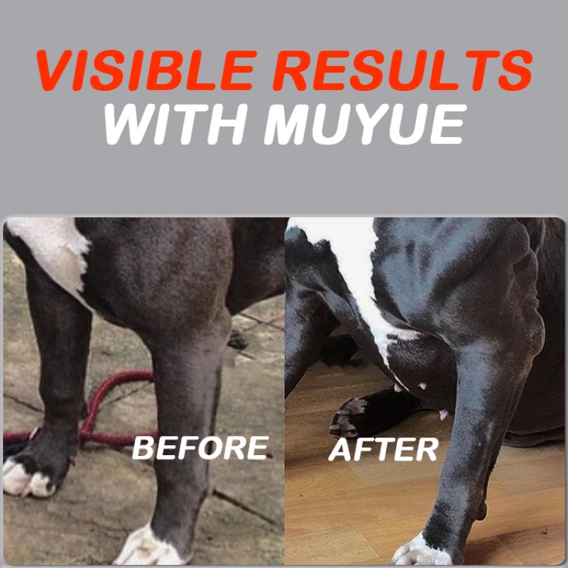 Pet Supplement Powder Manufacturer - OEM Turkey Tuna Chicken Muscle Gain