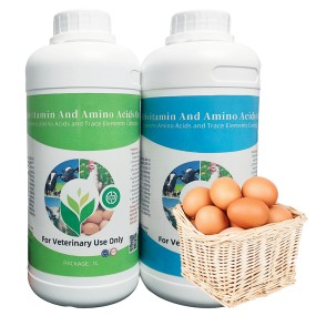 Feed Premix Additives Factory - OEM Multivitamin Amino Acids Oral