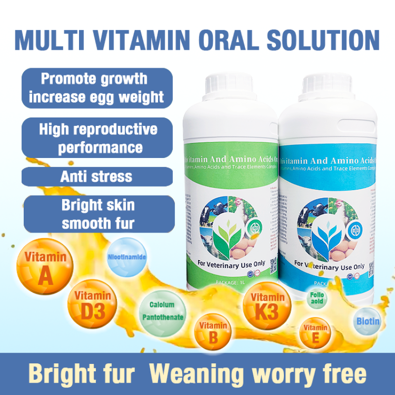 Vitamin Premix Liquid Manufacturer - OEM Vitamin E Selenium Poultry