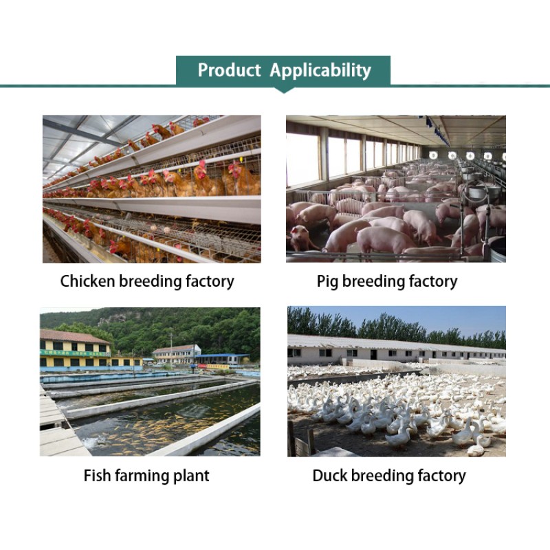 Piglet Probiotics Additive Factory - OEM Intestinal Digestion Health Care