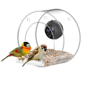 Bird Feeder Manufacturer - 2022 New Automatic Humming Bird Feeder Camera Smart Wifi Feeder Real-Time