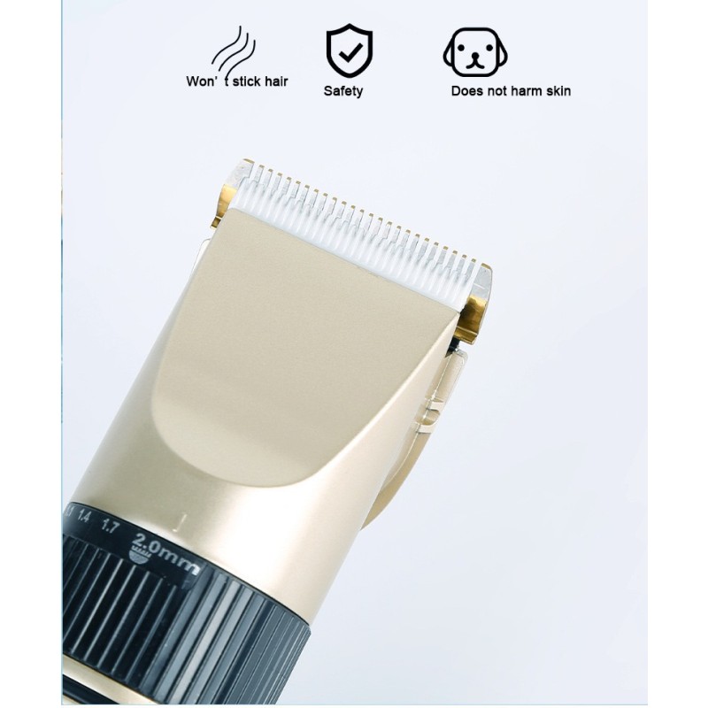 Pet Hair Trimmer Factory - Hot Sale Portable USB Charge Electric Pet Hair Trimmer Dog Cat Hair Clippers