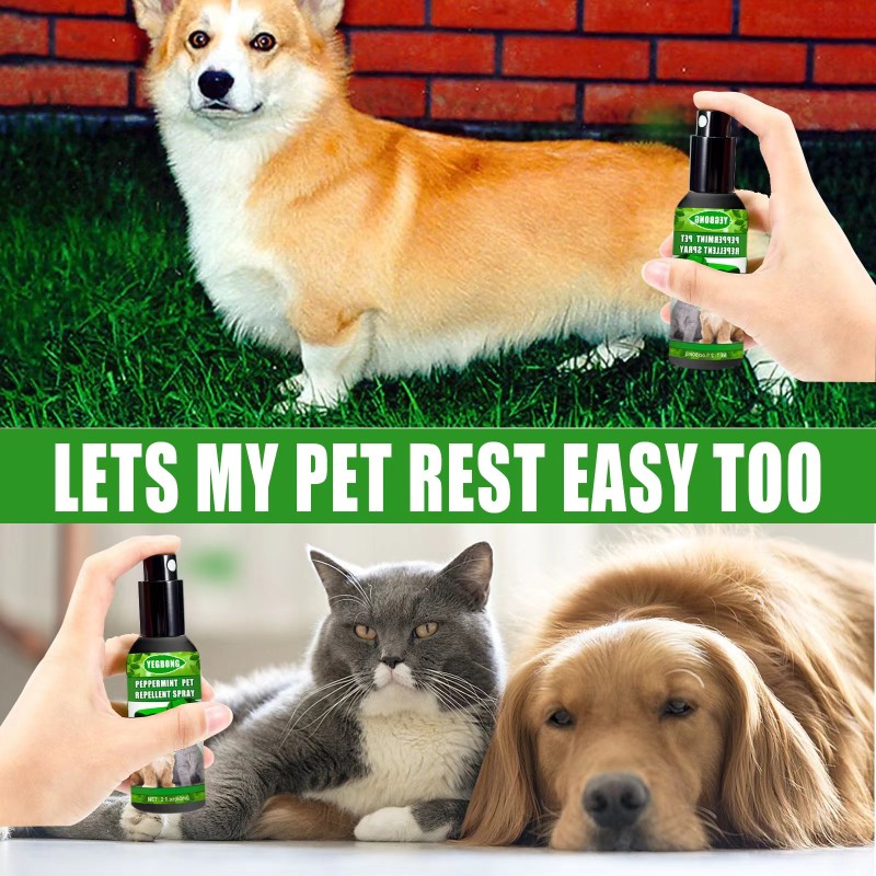 Pet Flea Spray Factory - Wholesale Natural 100% Organic Flea Tick Home Non-toxic Spray Cats Dogs