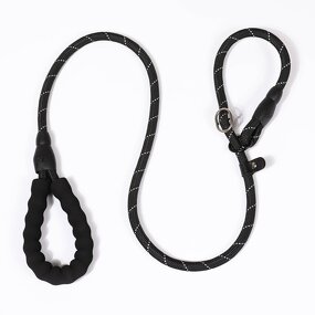 Dog Training Leash Manufacturer - Adjustable Nylon Slip Lead Dog Training Leash Solid P Chain Control Rope