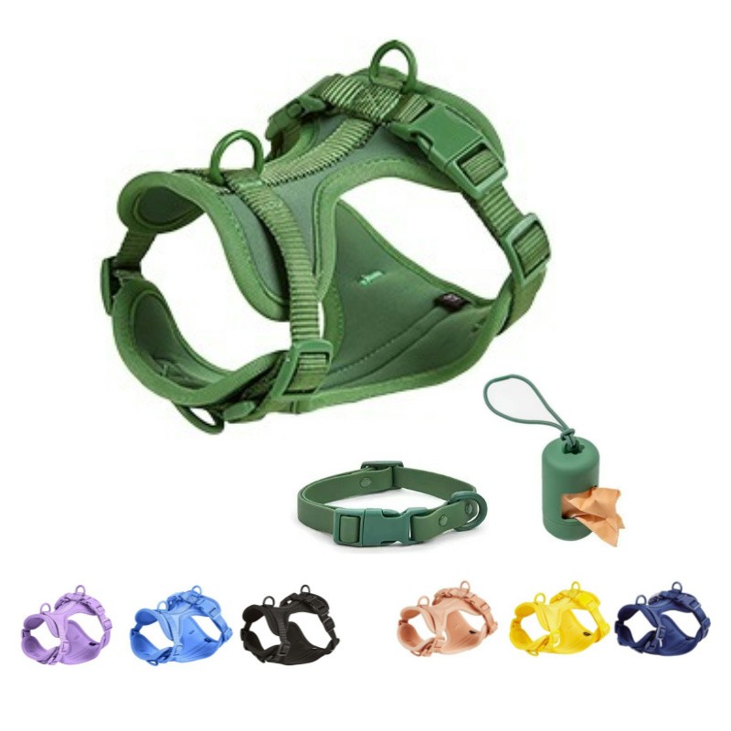 Dog Collar Manufacturer - Custom Logo Luxury Dog Collar Pet Walk Kit Leashes Adjustable Waterproof