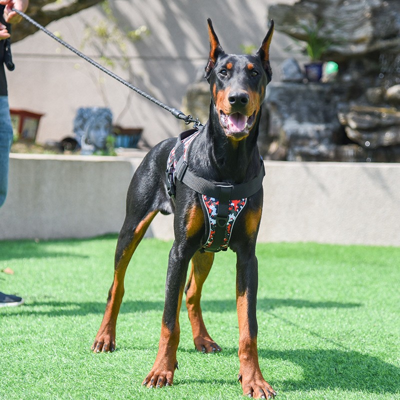 Dog Harness Supplier - Custom Dog Harness Durable PU Polyester Nylon Reflective Air Layer Solid Pattern