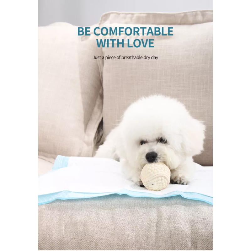 Dog Training Pad Factory - Hot Sale Dog Puppy Pads Leak-proof 5-Layer Pee Pads Quick-dry Surface