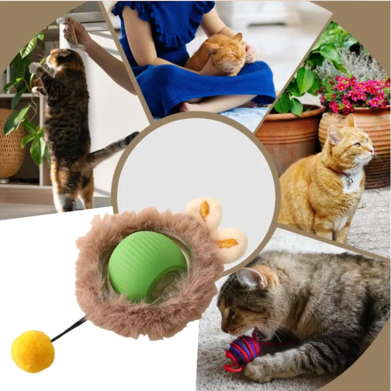 Pet Toy Factory - 2025 USB Charger Electric Smart Dog Ball Automatic Interactive Silicone Toy