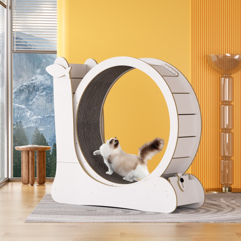 Cat Treadmill Supplier - New Cat Treadmill Running Wheel Wholesale Cat Treadmill for Pet Exercise