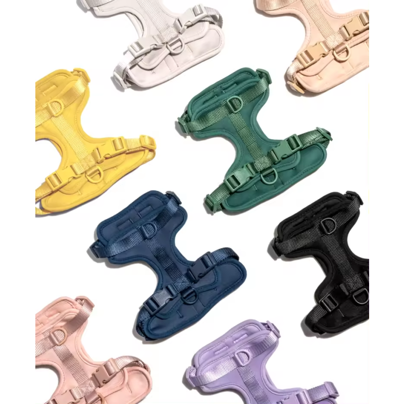 Dog Collar Manufacturer - Custom Logo Luxury Dog Collar Pet Walk Kit Leashes Adjustable Waterproof