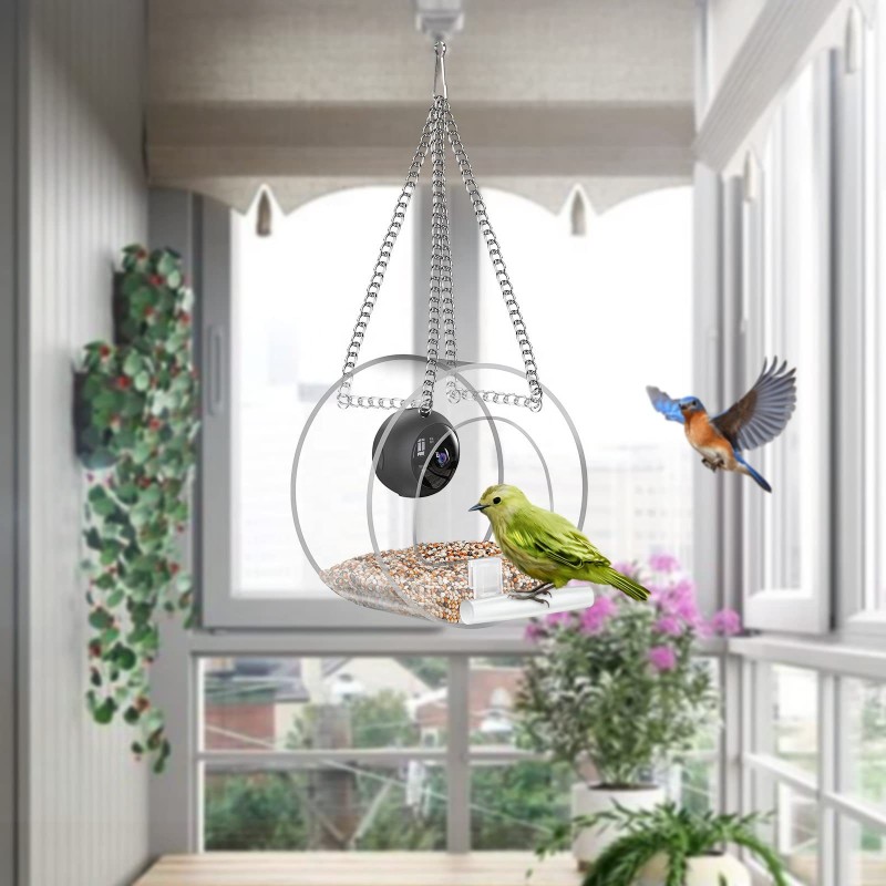 Bird Feeder Manufacturer - 2022 New Automatic Humming Bird Feeder Camera Smart Wifi Feeder Real-Time