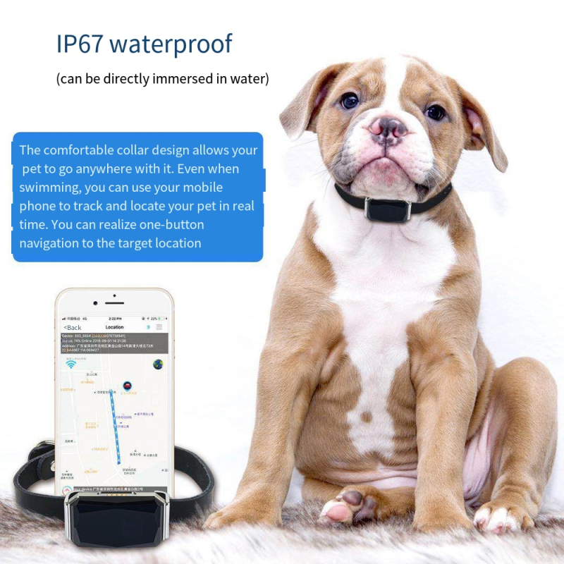 GPS Tracker Manufacturer - Get GPS Tracker GPS Tracking Device Pet All Industry Pet Supplies Products
