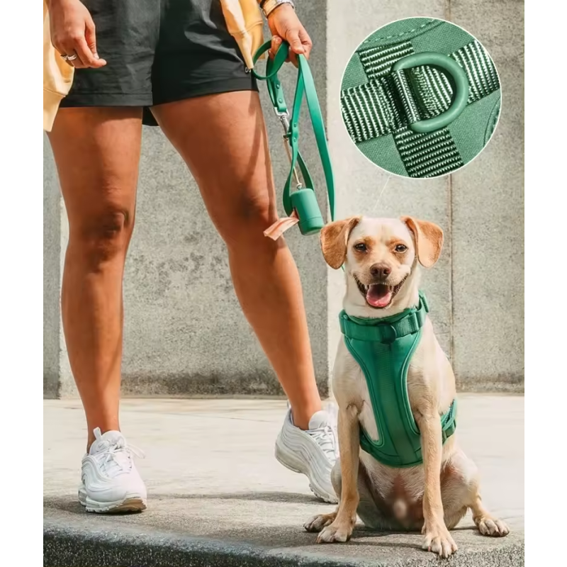 Dog Collar Manufacturer - Custom Logo Luxury Dog Collar Pet Walk Kit Leashes Adjustable Waterproof