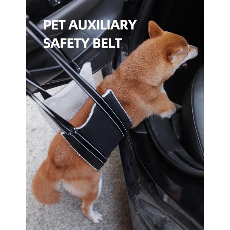 Dog Support Harness Manufacturer - Pet Dog Hind Leg Support Harness Full Body Support Recovery Sling Portable
