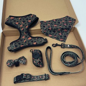 Dog Harness Factory - Custom Personalized Logo Luxury Neoprene Nylon Harness Leash Set Adjustable