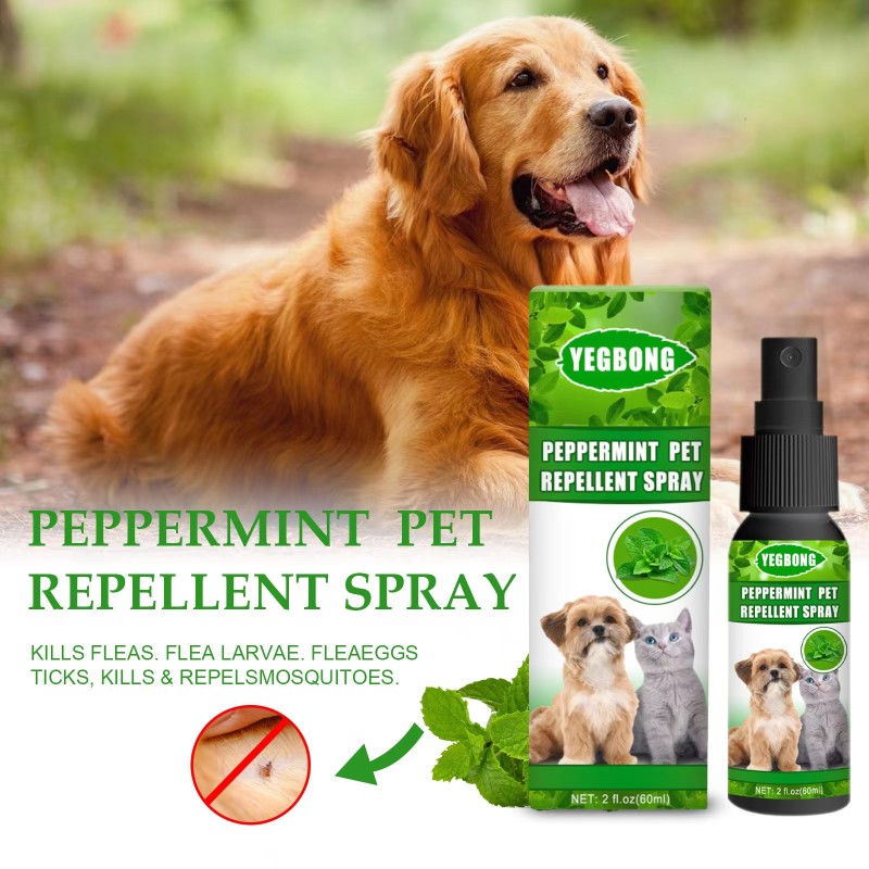 Pet Flea Spray Factory - Wholesale Natural 100% Organic Flea Tick Home Non-toxic Spray Cats Dogs