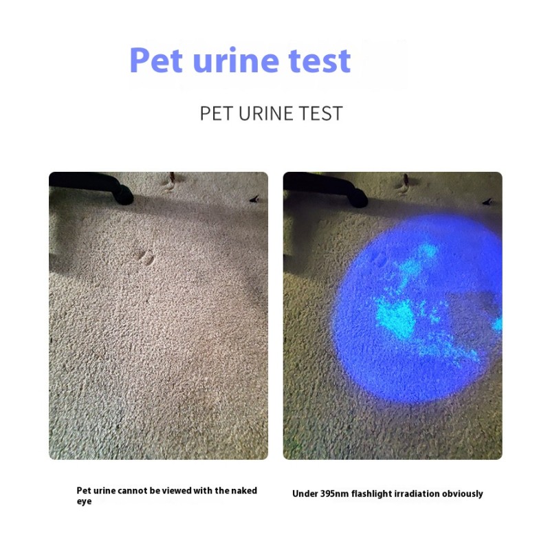 UV Flashlight Manufacturer - Hot Sale Waterproof Flashlight Black Light UV 395NM Fluorescence Multi-Purpose