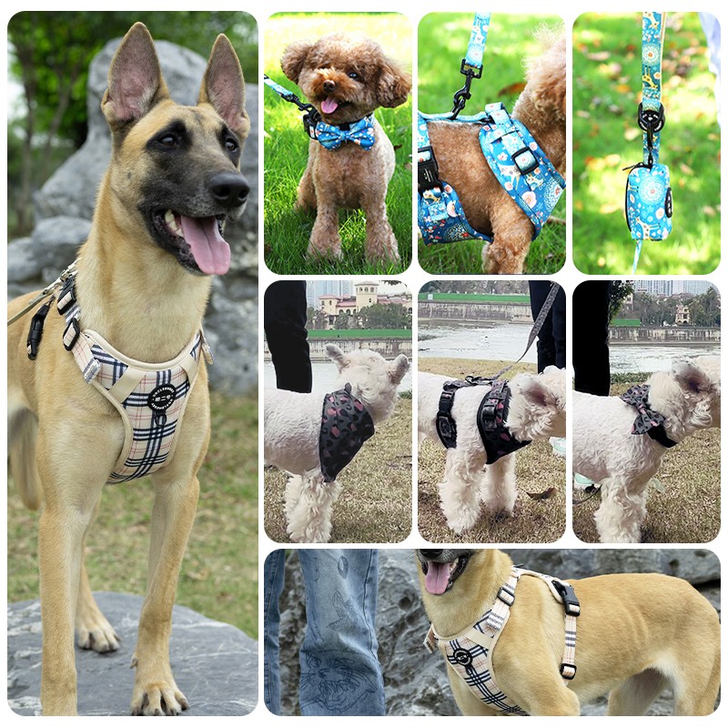 Dog Harness Factory - Custom Personalized Logo Luxury Neoprene Nylon Harness Leash Set Adjustable
