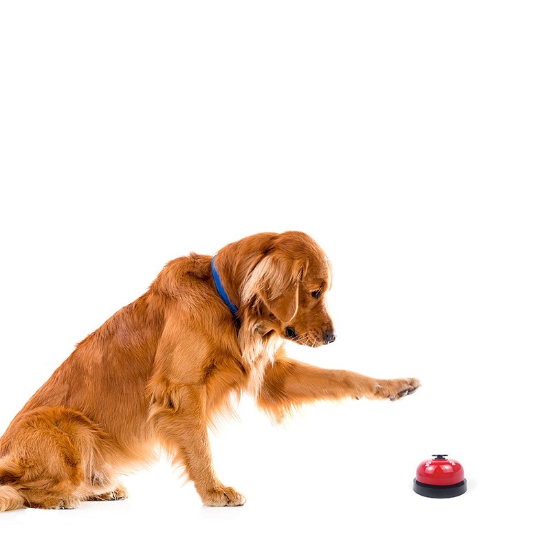 Pet Training Bell Factory - Factory Wholesale Dog Door Training Bell Skid Rubber Bottom Clear Ring Pet