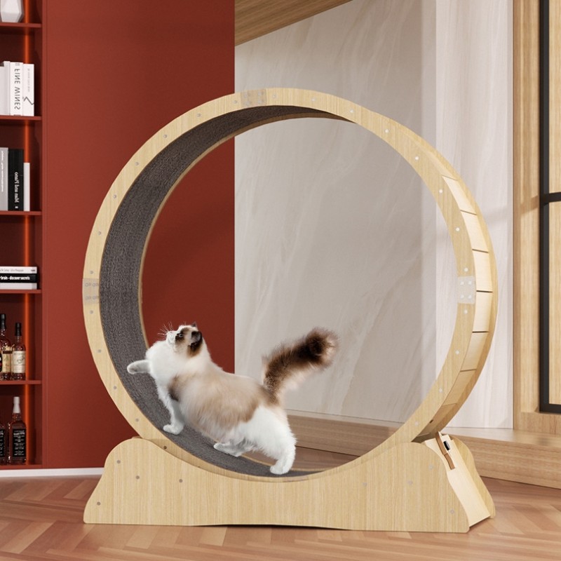 Cat Treadmill Supplier - Dog Cat Treadmill Pet Fitness Roller Silent Exercise Running Wheel Furniture