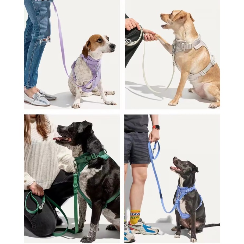 Dog Collar Manufacturer - Custom Logo Luxury Dog Collar Pet Walk Kit Leashes Adjustable Waterproof