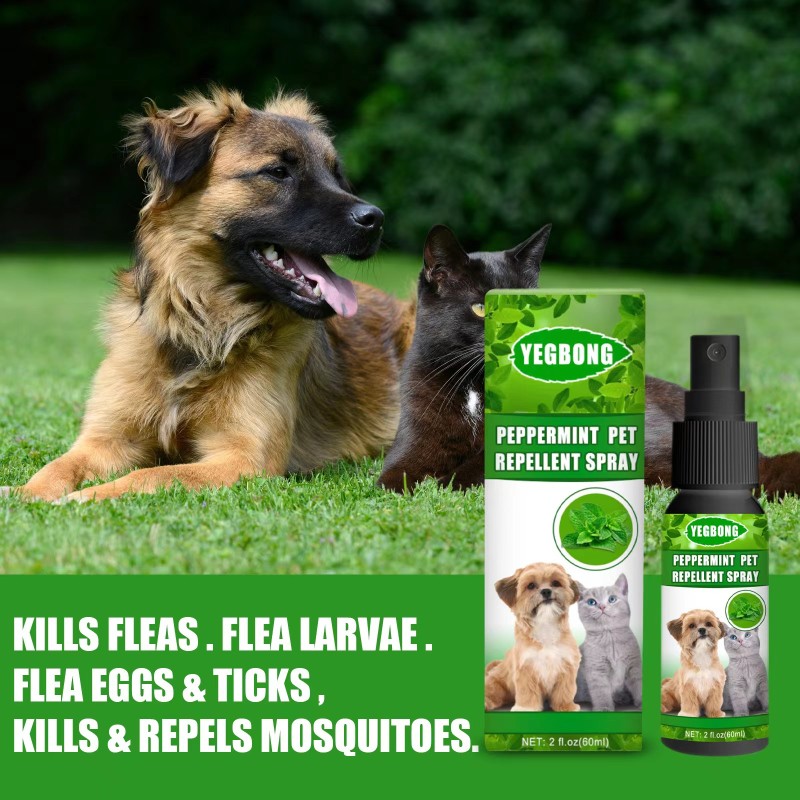Pet Flea Spray Factory - Wholesale Natural 100% Organic Flea Tick Home Non-toxic Spray Cats Dogs