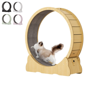 Cat Exercise Wheel Factory - OEM ODM Interactive Fiber Board Wooden Exercise Cat Running Wheel Pet