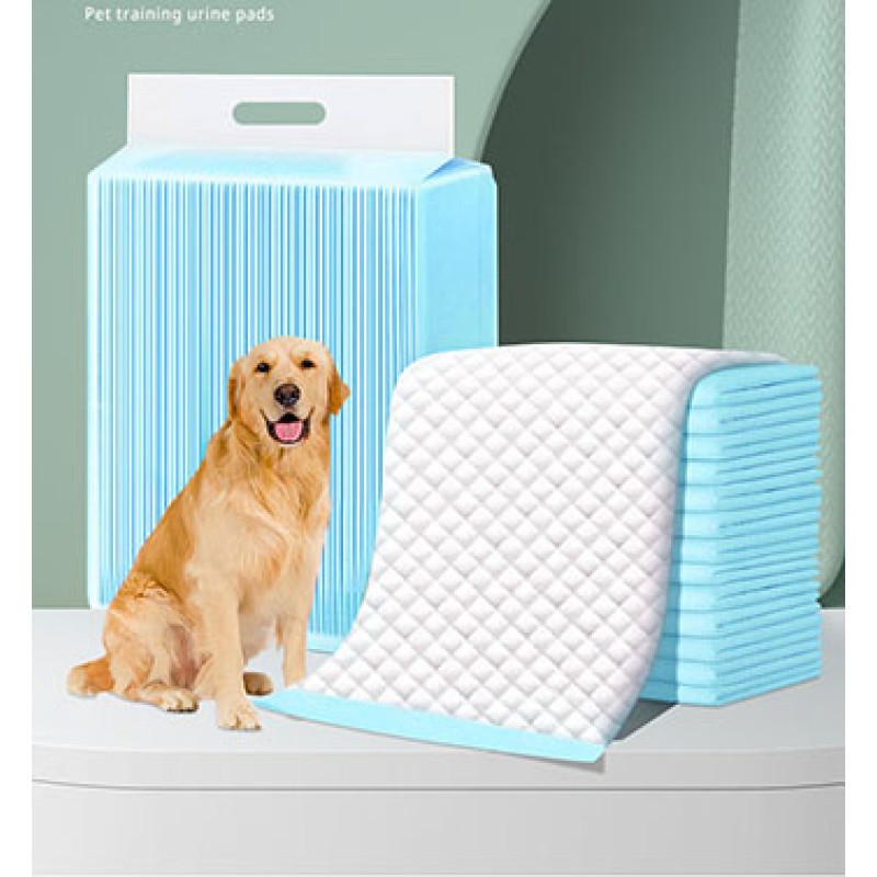 Dog Training Pad Factory - Hot Sale Dog Puppy Training Toilet Disposable Dog Puppy Pads Leak-proof