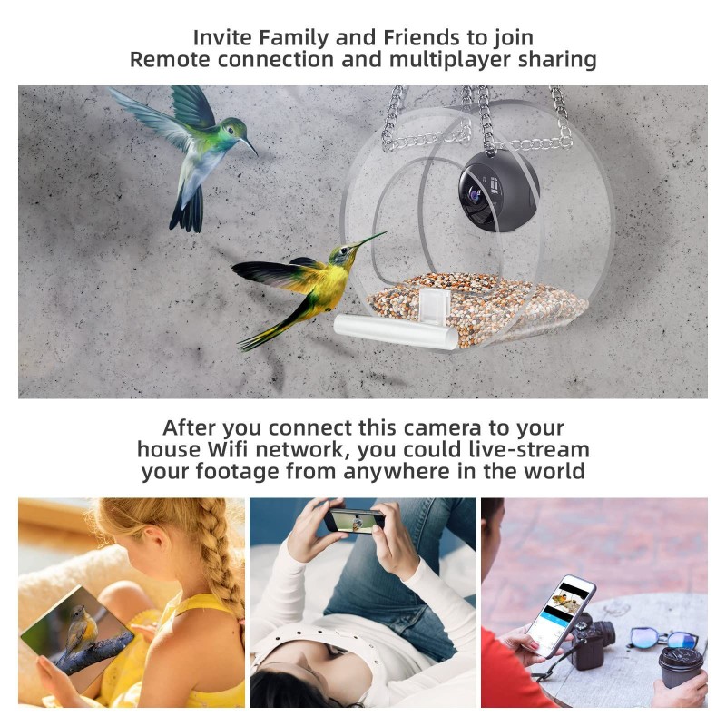 Bird Feeder Manufacturer - 2022 New Automatic Humming Bird Feeder Camera Smart Wifi Feeder Real-Time
