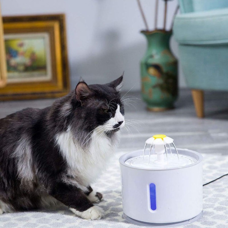 Cat Water Dispenser Manufacturer - Customized Stainless Steel Automatic Cat Drinking Water Dispenser Intelligence