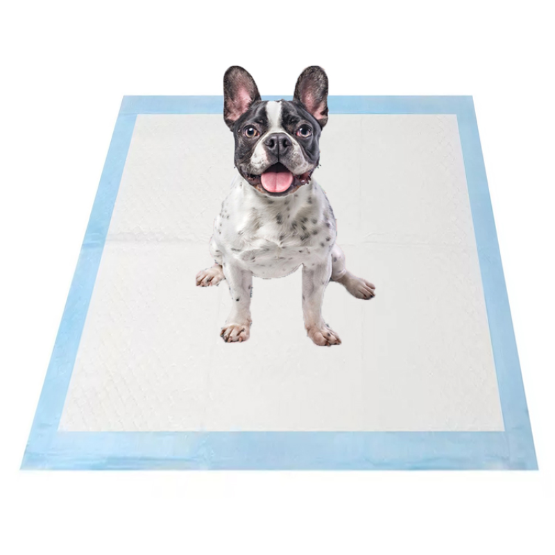 Dog Training Pad Factory - Hot Sale Dog Puppy Pads Leak-proof 5-Layer Pee Pads Quick-dry Surface