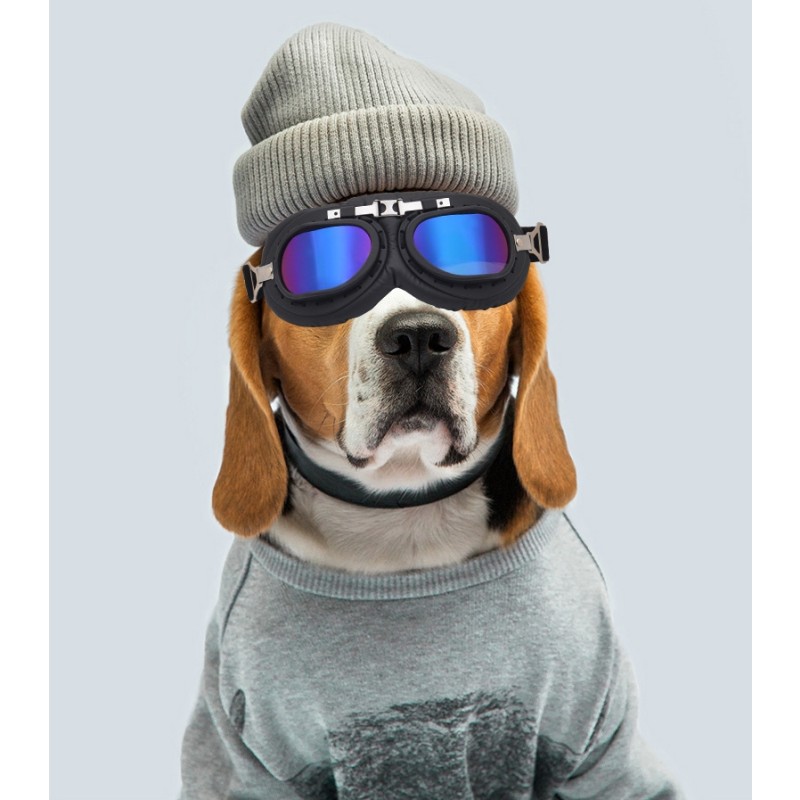 Dog Goggles Manufacturer - 2022 Adjustable UV Protection Dog Goggles Sunglasses for Large Medium Dog