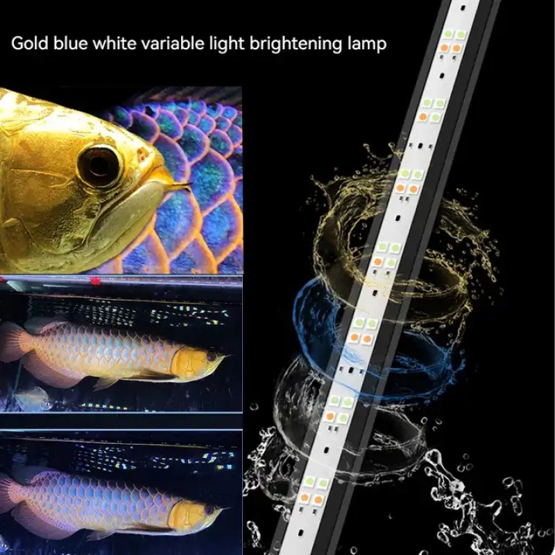Aquarium Light Manufacturer - OEM Mayin Golden Dragon Magic Lamp