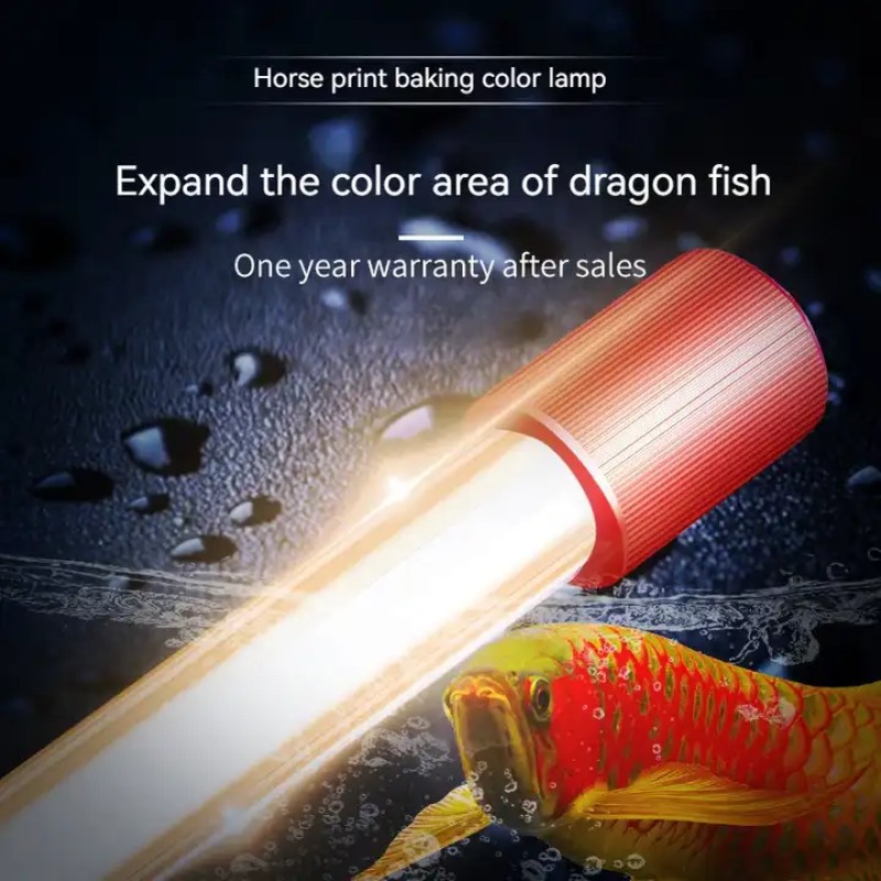 Arowana Lamp Manufacturer - OEM Mayin Red Arowana Grilled Color Lamp