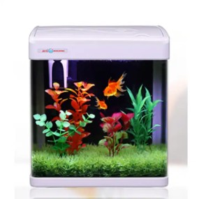 Aquarium LED Light Supplier - OEM Minjiang Glass Coral Light